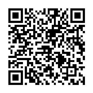 却发现这小猫儿这会已经用大尾巴彻底盖住了猫脸二维码生成