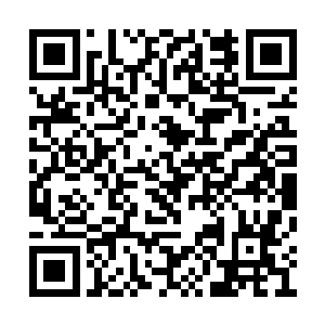 却发现那一道剑光突然变成了无数土黄色的巨人二维码生成