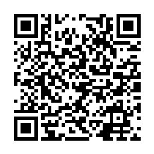 却发现那个传说中的大反派就站在自己的面前……二维码生成