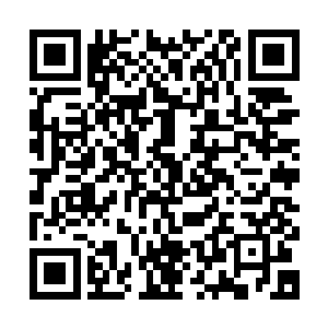 却发现那金丹女修即便没有灵力罩竟然也能在这威压下毫无惧色二维码生成