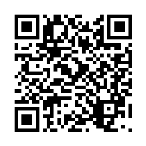 却发现阮荷黎不知什么时候蹲在地上蜷着身子二维码生成