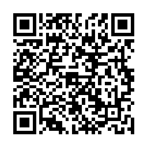 却发现黑蛇的两个蛇头完全被元辰夕死死的吸在了体内二维码生成