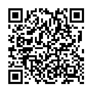 却只是在移山金猿的皮肤上留下一个小小的伤口二维码生成