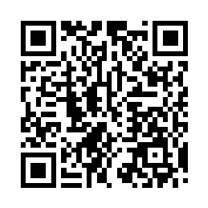 却只是安排一个金丹期的小家伙在这里坐镇二维码生成