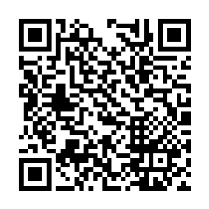 却只有三个佣兵团的团长以及副团长拥有这个实力二维码生成
