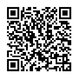 却只有曹家和江家送来讯信……看来这一年厚利太美味二维码生成