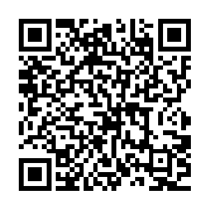 却只有那显出烟霞云雾之状的空间微微有微弱的霞光灵力闪烁二维码生成