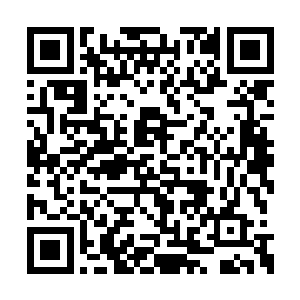 却只能偷偷地在静谧处回忆当初仗剑行走的风光二维码生成