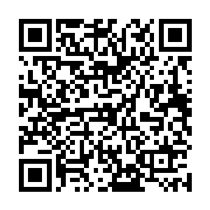 却只能在超大型蝙蝠的身上留下一个个大小不一的小洞二维码生成