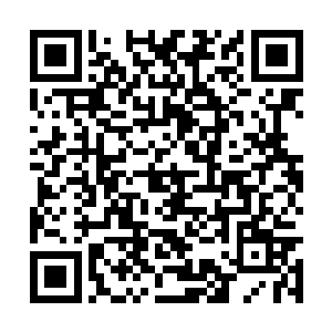 却听凭男友的手穿过了无袖体恤探索到了自己背后二维码生成