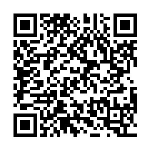 却听那个被四个壮汉牢牢扭住的太妹发出了尖利的叫声二维码生成