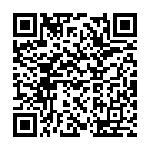 却因为是柳贵妃的长子而被柳丞相着重栽培过一番二维码生成