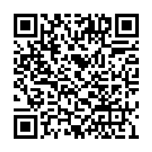 却因为虎妖身在血海而连带着让血河也一起遭殃二维码生成