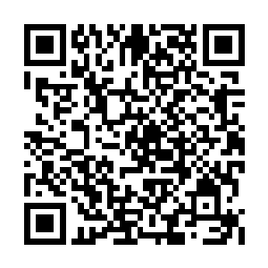 却因融入了之前东方固的记忆而变得又有些顽固二维码生成