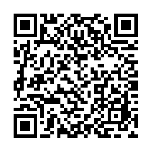 却在下一秒眼尖的瞥到了青年露在外面的两条大长腿二维码生成