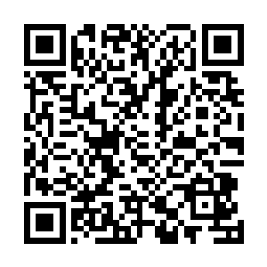 却在东方不败那快逾闪电的出手速度和强大的攻击力面前二维码生成