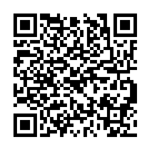 却在云集了诸王公主及众多皇孙的场面中依旧抢眼二维码生成