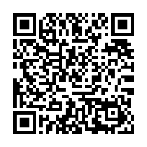 却在奥义上不知道高出锻造法诀多少倍的宝器拳二维码生成