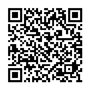 却在很久之前就已经和另外两个男人达成了共识二维码生成