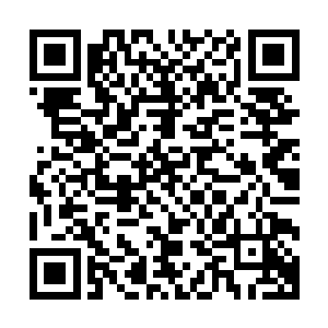 却在更加清晰的看到这个圈子的面貌和激烈到白热化的竞争后二维码生成