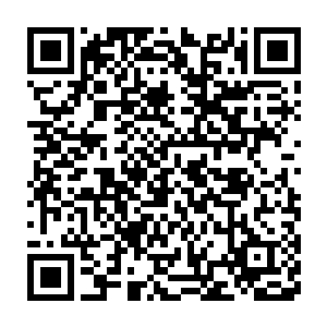 却在衔尾蛇之环里面大肆搜刮可以增幅体质的药剂和炼体巫阵等等二维码生成
