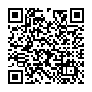 却多了一个高大英俊的男人和一个健美丰腴的女人二维码生成