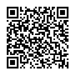 却始终查不到那传说中的富豪巨子究竟是何方神圣二维码生成