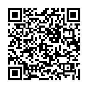 却完全不同于韩若诗那种近乎刀锋一般锋利的目光二维码生成