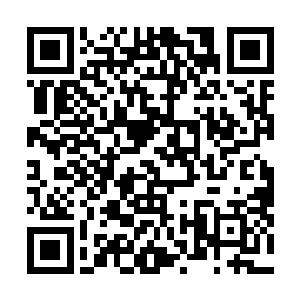却将一些在那些百族修士眼中看来很普通的材料一扫而空二维码生成