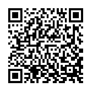 却已不知道掉落了多少枚这样的天缘果实……不知道落到了那里二维码生成