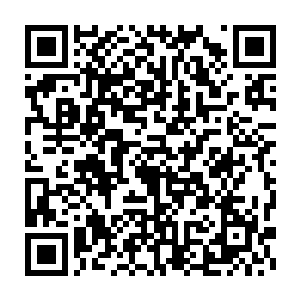 却已经从花园里那些重新挺直了腰杆的坚强嫩绿的小草上显露了出来二维码生成