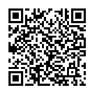 却已经成为了让众多主神级势力都要忌惮的强者了二维码生成