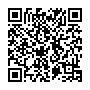 却并没有指望通过执导这三首MV就真的积攒起太多的经验二维码生成