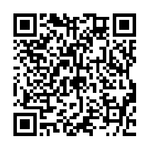 却开不得口――她已催运白莲朝日神功到了第八层巅峰境界二维码生成
