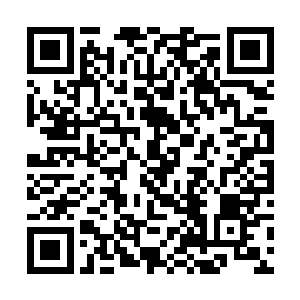 却忌惮的只能扭曲着脸像捧着火炭般的怒瞪着流墨墨二维码生成