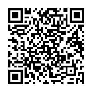 却忘了算杜海琼这女人不见得就一定会听他的安排二维码生成