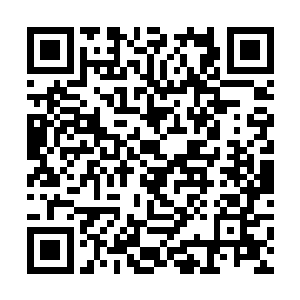 却忽然看到那个小家伙的双眸竟有瞬间化成了帝青色二维码生成