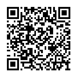 却忽然看见一个戴着玉镯的纤纤玉手也伸了过去二维码生成