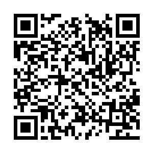 却忽然间在大榕树上看到了一个完全没有想到的人二维码生成