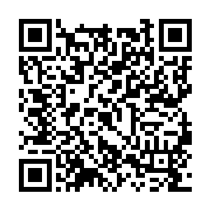 却总感觉小彩蝶和自己始终有一层主仆之间的隔膜二维码生成