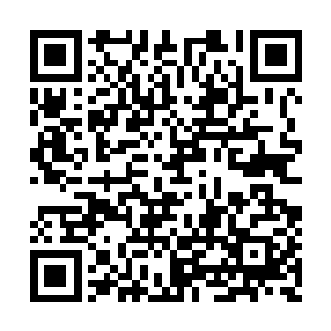 却总被永井贤治的各种奇技淫巧和邪恶尸傀阻止二维码生成