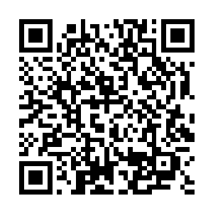 却惊讶地发现自己因为蜷缩在狭小的垃圾桶里时间太长二维码生成