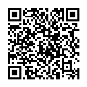 却惊骇的发现这些选择留下来的士兵体力都真的很不错二维码生成