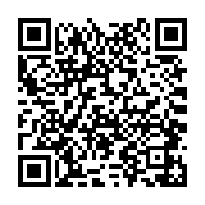 却意外的听到了里面一群年轻男女交谈打闹的声音二维码生成