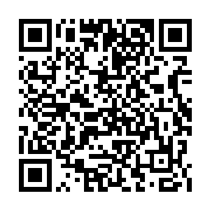 却成功将整个北美市场的爆发潜力都激发了出来二维码生成