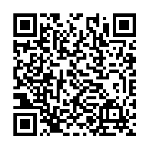 却找不到可以让他信任且能力出众的人来调查此事二维码生成