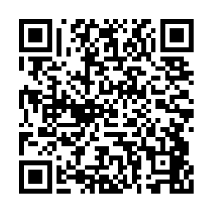 却把恶气发泄到了顾子铭他们的迎亲车队上来了二维码生成