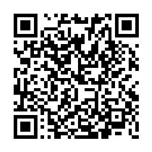 却把长公主殿下多年积累下的骄傲学了个四不像二维码生成