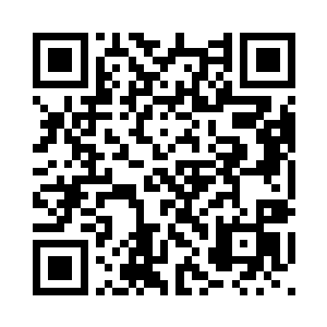 却拿这团拳头大小的斑斓无可奈何二维码生成