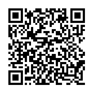 却挣脱不掉空中那只正在拍落的金色大手的束缚二维码生成